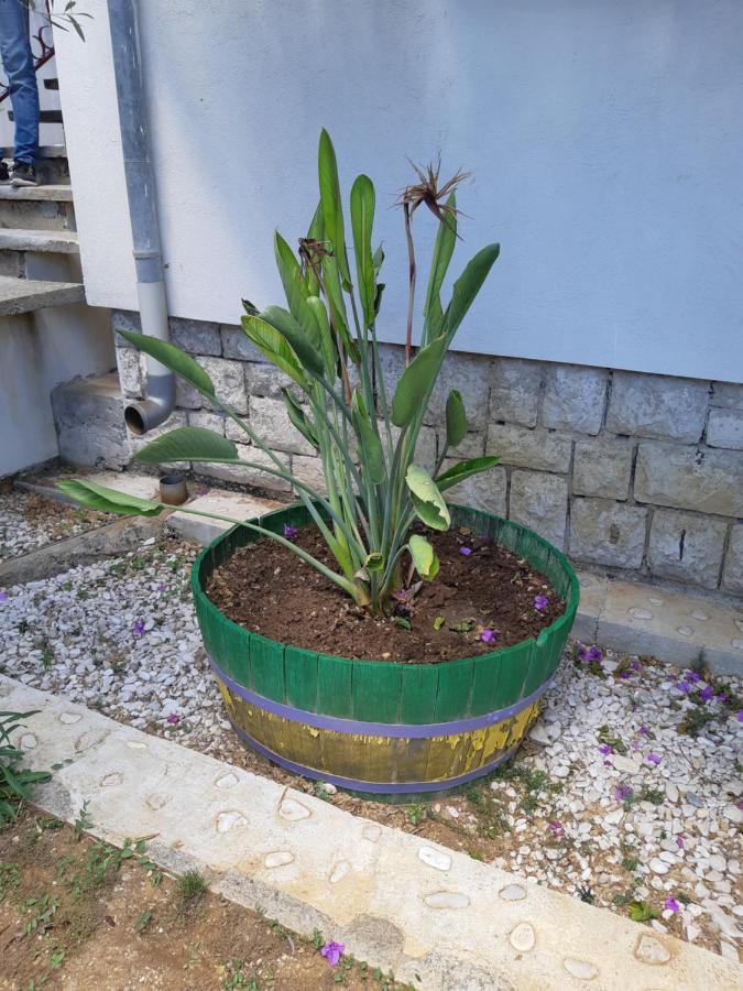 Apartman Vede Bacina מראה חיצוני תמונה