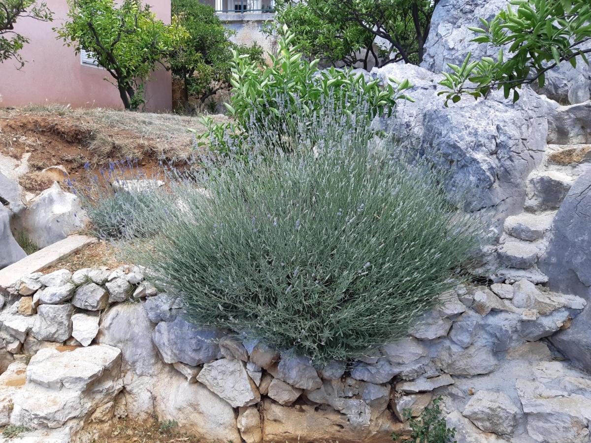 Apartman Vede Bacina מראה חיצוני תמונה
